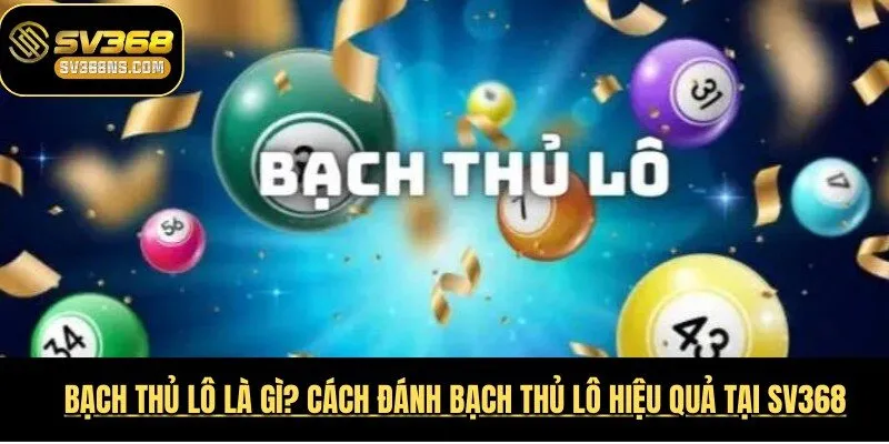 Bạch Thủ Lô Là Gì