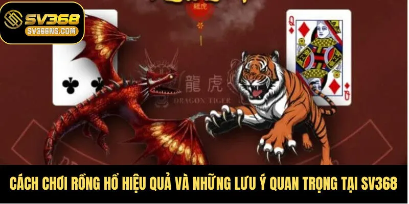 Cách Chơi Rồng Hổ
