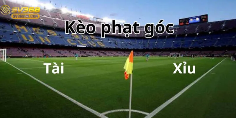 Các yếu tố như chiến thuật đội bóng và điều kiện ảnh hưởng đến kết quả